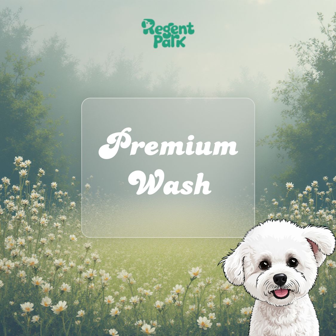 Premium Wash - Short Hair